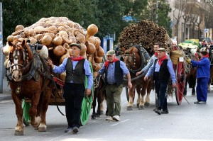 Feesten als een local