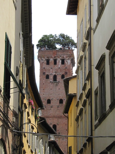 Lucca Sehenswürdigkeiten: Torre Guinigi Lucca, Blick von Altstadtgasse auf den Turm, auf dem Bäume wachsen
