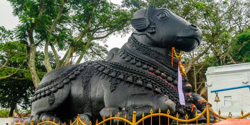 nandi stier mysore