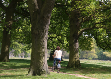Hampton Court Fietstour
