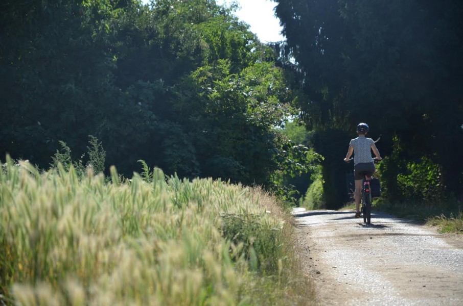 Fietsverhuur in Frankfurt
