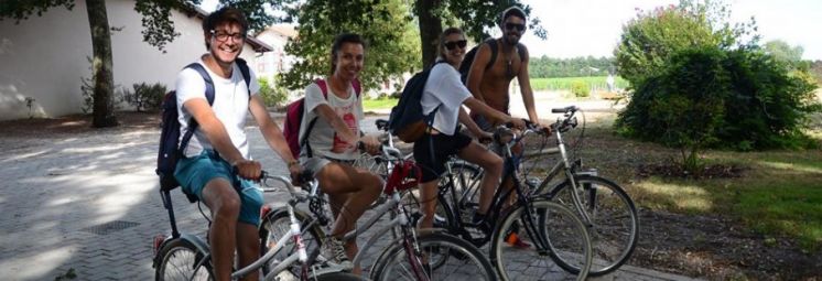 Bordeaux Highlights Tour Bordeaux Highlights Tour