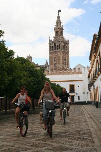 Sevilla Privattur med Guide