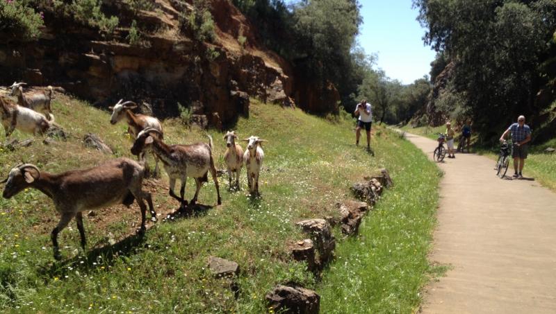 Andalusien Tagestour