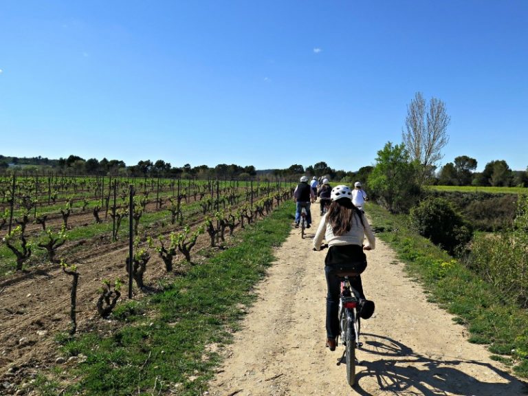 Barcelona Wijnproeverij: Fietsexcursie in de Penedès