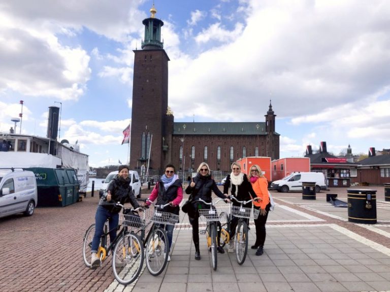 Stockholm Fietstocht met Privé-gids