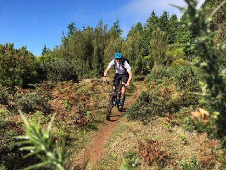 Private Tour Madeira