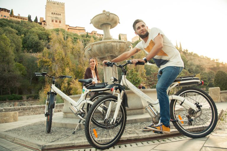 Granada Highlights Tour