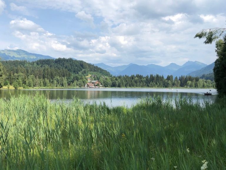 Kitzbühel E-MTB Tour
