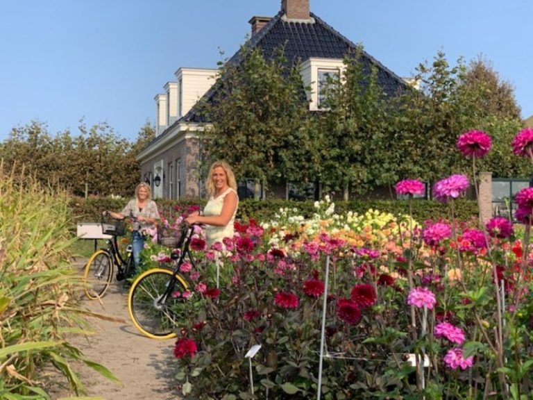 Bollenstreek Fahrradtour