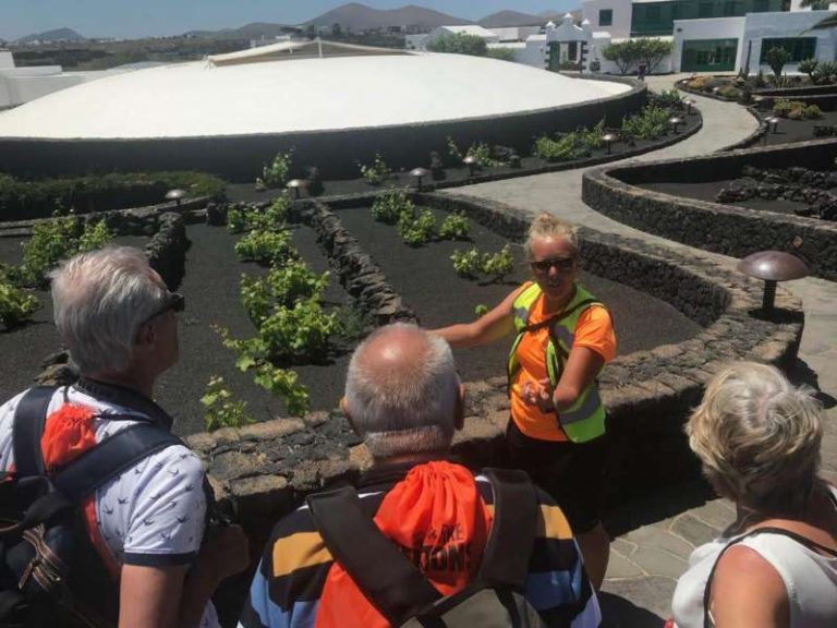Central Lanzarote E-bike tour