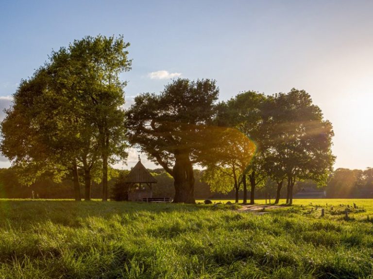Fietsvakantie Twente (7 dagen)