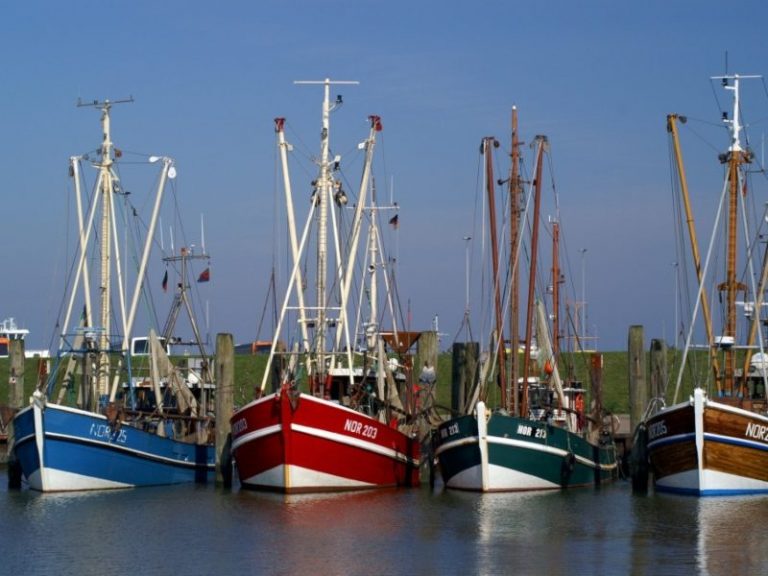 Fietsvakantie Duitse Wadden (8 dagen)