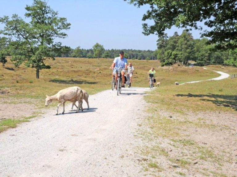 Radreise Drenthe (4 Tage)