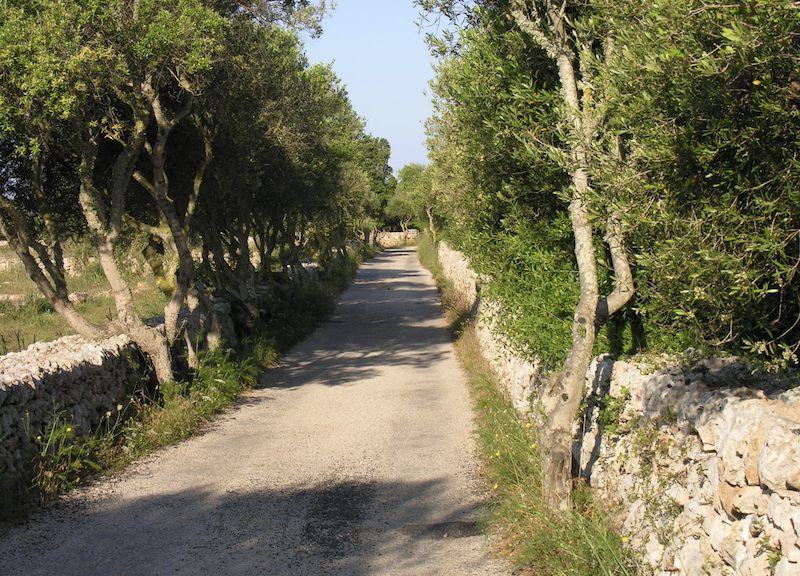 Menorca Fietstocht Es Castell