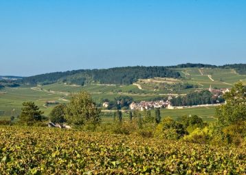 Fietsvakantie Bourgondië Culinair (7 dagen)