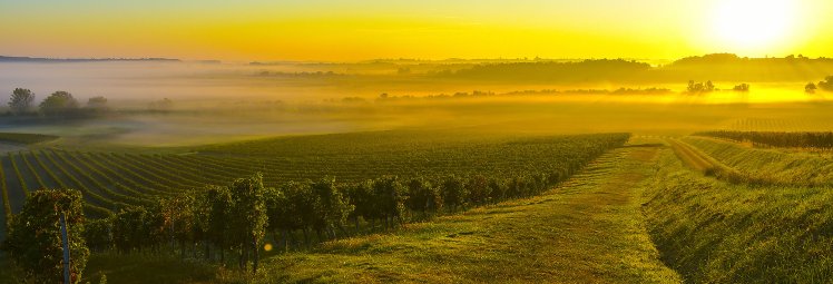 Fietsvakantie Bordeaux (7 dagen)