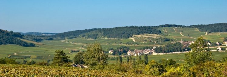 Fietsvakantie Bourgondië Culinair (7 dagen)