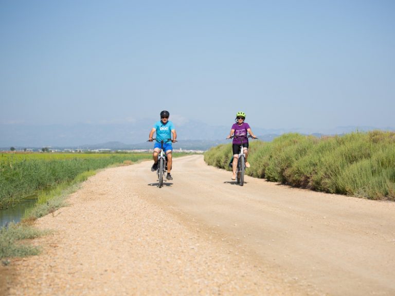 Bike Rental Ebro Delta