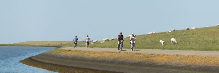 Bike rental Ameland
