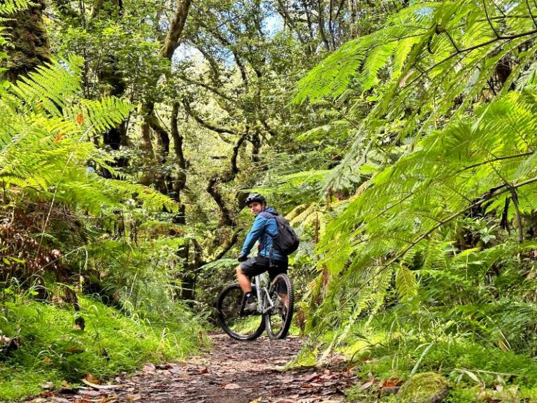 Madeira Levada Fietstour