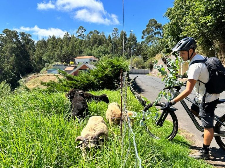 Madeira Levada Radtour