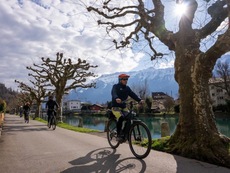 Interlaken E-bike Tour: Wintereditie