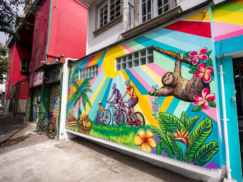 San José Fietstour: de Highlights