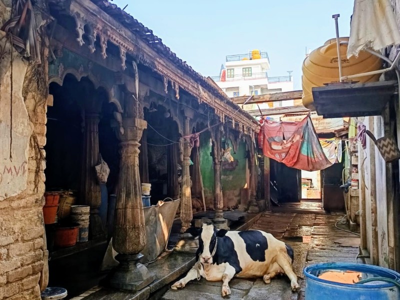 Mysore Highlights Radtour