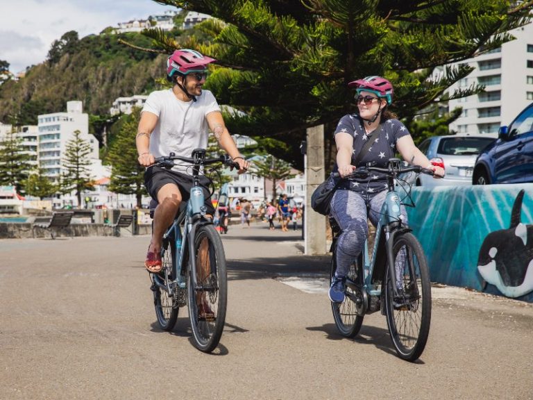 Wellington Fietstocht: Introductie