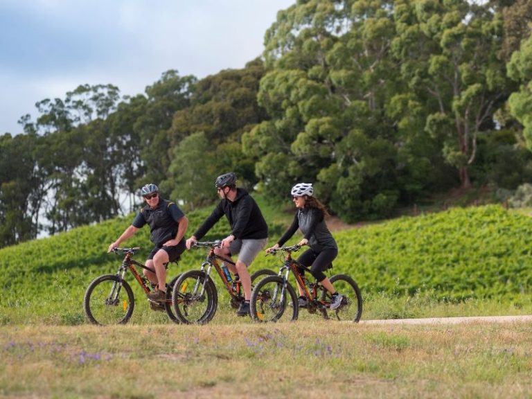 Adelaide Hills Fietstocht