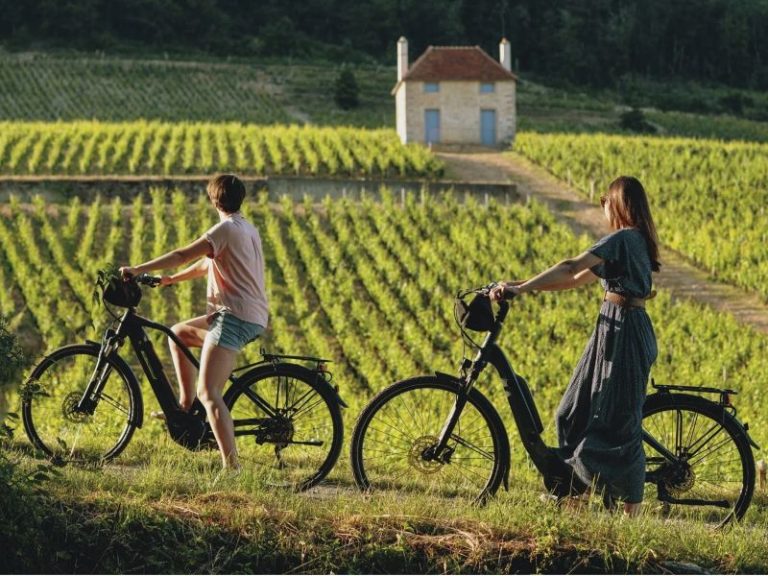 Visite à vélo à Beaune avec dégustation de vins